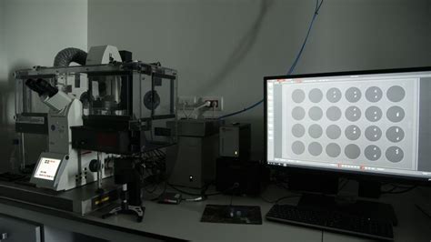 LEICA DMi8 Wide-Field Microscope (Live Cell imaging) - Humanitas Research