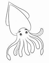 Squid Coloring Pages Free Printable PDF sketch template