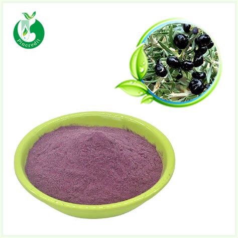 Black Goji Berry Juice Powder Powder Bulk Supplier - Pincredit