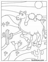 Free DESERT LANDSCAPE Coloring Pages For Download Printable PDF sketch template