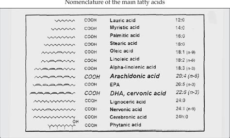 Figure 1 from Roles of unsaturated fatty acids (especially omega-3 fatty acids) in the brain at ...