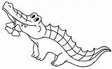 Free Printable Crocodile Coloring Pages For Kids sketch template
