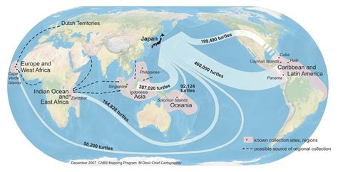 Trade Routes for Tortoiseshell — The State of the World's Sea Turtles | SWOT