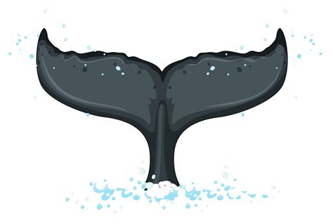 A tail of humpback whale 373669 Vector Art at Vecteezy