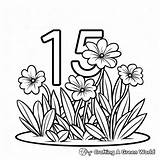Number 15 Coloring Pages  Free & Printable sketch template