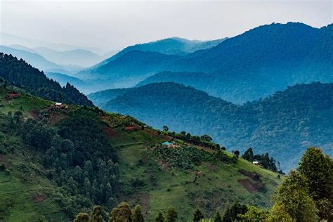 Bwindi Impenetrable National Park: Unvailing Its Secrets