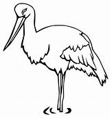 Stork Ooievaar Storch Kleurplaat Bocian Cicogna Bangau Kolorowanka  sketch template