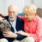 Health Benefits of Pet Therapy | Daily Health Alerts