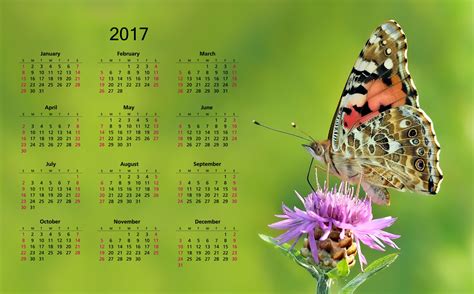 2017 Calendar With Butterfly Free Stock Photo - Public Domain Pictures