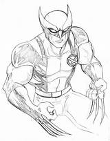 Free Printable Wolverine Coloring Pages For Kids sketch template