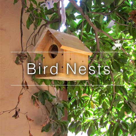 Buy Bird Nest Online with Best Prices in India | MyBageecha