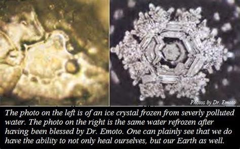 Dr. Emoto's Request for Assisting Japan: | Hidden messages in water, Masaru emoto, Water experiments