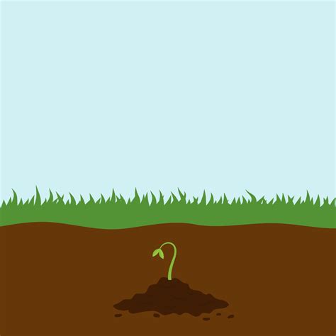 Coffee Grounds for Plants: Are Coffee Grounds Good for Plants? in 2023 ...
