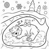 Animals In Winter Coloring Pages Hibernation & Book For Kids sketch template