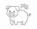 Pig coloring Page – Artofit sketch template