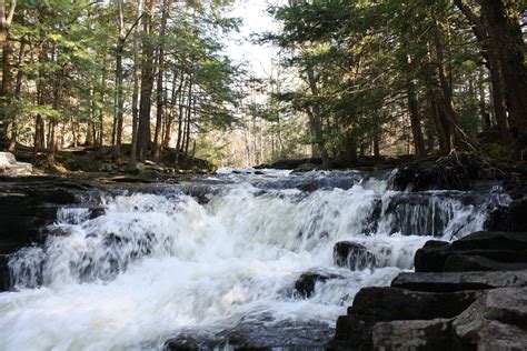 Promised Land State Park - Little Falls Trail | State parks, Beautiful ...