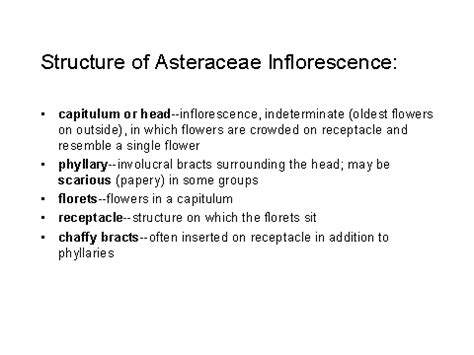 Structure of Asteraceae Inflorescence: