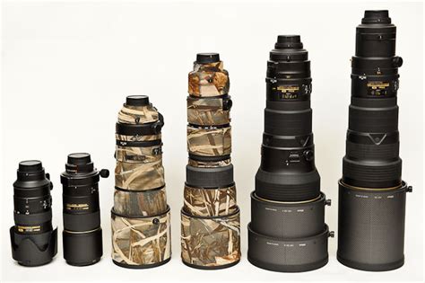 Nikon 400mm f/2.8G VR Review - Photography Life