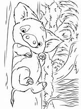 Moana 35 coloring Page sketch template