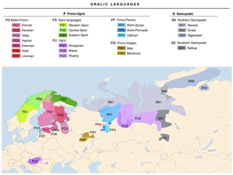 Uralic vs Turkic Genetic Links in Haplogroup N-M2019 – Mygrations