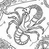 Scorpio Zodiac Sign Coloring Page  Pagescom sketch template