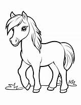 Horse Images Coloring Pages sketch template