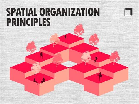 9 Spatial Organization Principles for Effective Design