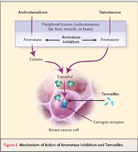 [PDF] Aromatase inhibitors in breast cancer. | Semantic Scholar