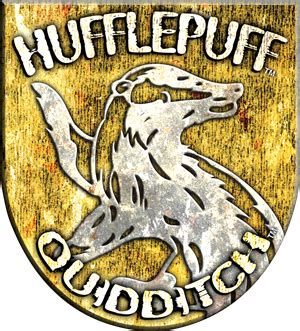 Hufflepuff Quidditch team - Harry Potter Wiki