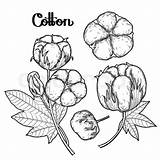 Crops Coloring Pages At GetColoringscom  Free Printable Colorings sketch template