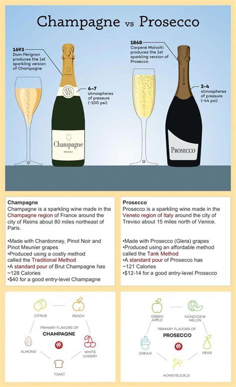 Champagne vs. Prosecco infographic and website #wine #WinePairingsandTasting | Wine drinks, Wine ...