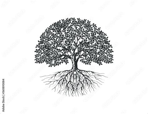 Tree and roots vector silhouette in circle shape Stock Vector | Adobe Stock