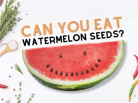 Can You Eat Watermelon Seeds? A Friendly Guide For Hungry Niche Site SEOs