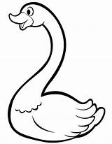Coloring Pages Of A Swan sketch template
