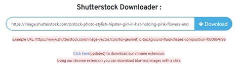 The Most Recommended Shutter-stock Watermark Remover (Online& Offline)