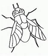 Fly Swatter Coloring Page Sketch sketch template