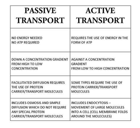 Passive Transport Osmosis