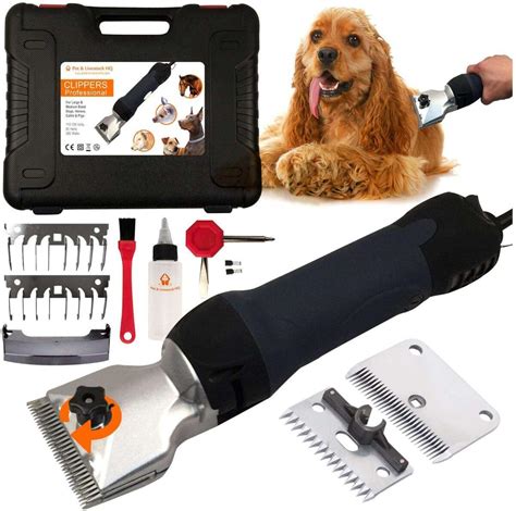 Top 5 Best dog grooming clippers - Globalpetblog