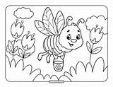 Printable Bee Colouring Pages  Free Templates sketch template