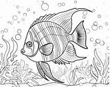 Printable Angelfish Coloring Sheets For Kids sketch template