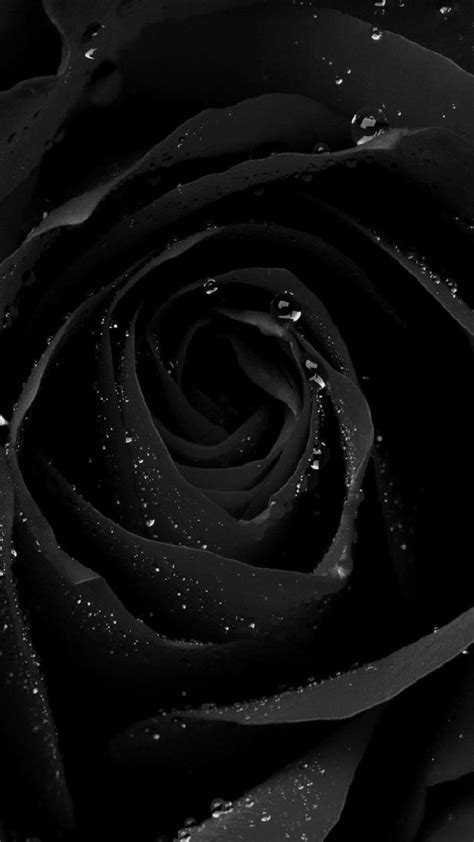 Black iPhone Backgrounds | PixelsTalk.Net