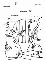 Cute Angelfish Coloring Pages  sketch template