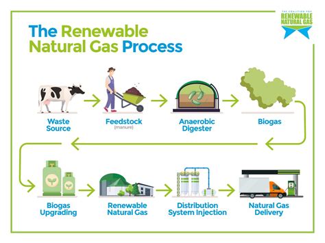 Renewable Natural Gas Infographics: View at RNG Coalition — The ...