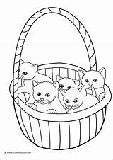 Kitten Coloring Pages  ColoringBay sketch template