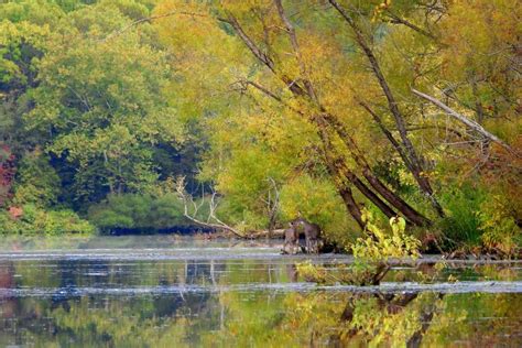 Burr Oak State Park In Glouster, OH | America's State Parks