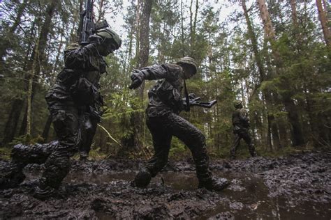 Lithuania's army to double area of training grounds by 2022 - EN.DELFI