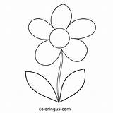 Daisy Flower Coloring Pages Free Printable PDF sketch template