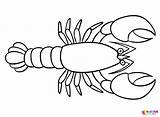 Lobster Coloring Pages  Free Printable PDF & Online sketch template
