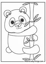 Bring Home The Cuteness Panda Bear Coloring Pages sketch template