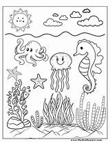 Free Printable Sea Life Coloring Pages Under The  sketch template